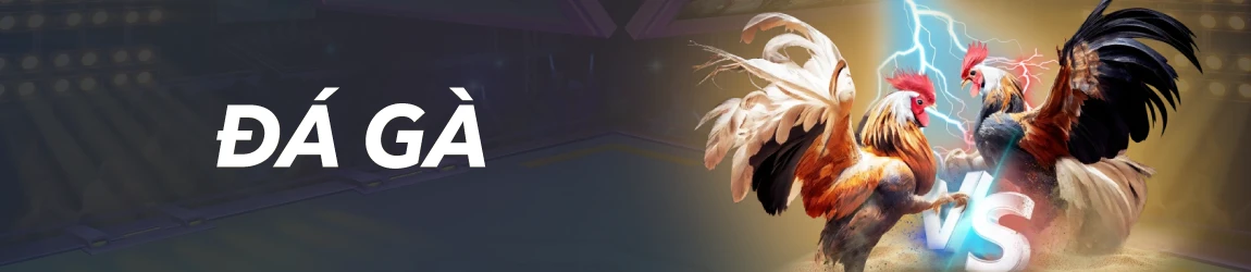 banner-chuyenmuc-daga