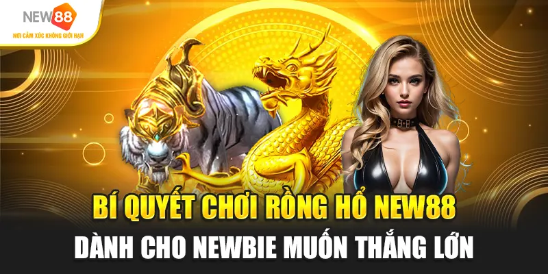Bí quyết chơi Rồng Hổ New88 dành cho newbie muốn thắng lớn