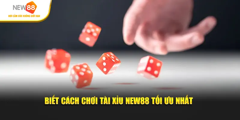 Biết cách chơi Tài xỉu New88 tối ưu nhất