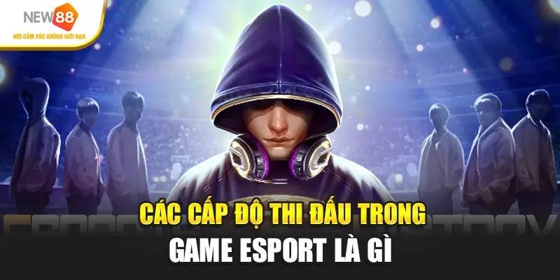 Các cấp độ thi đấu trong game Esport là gì