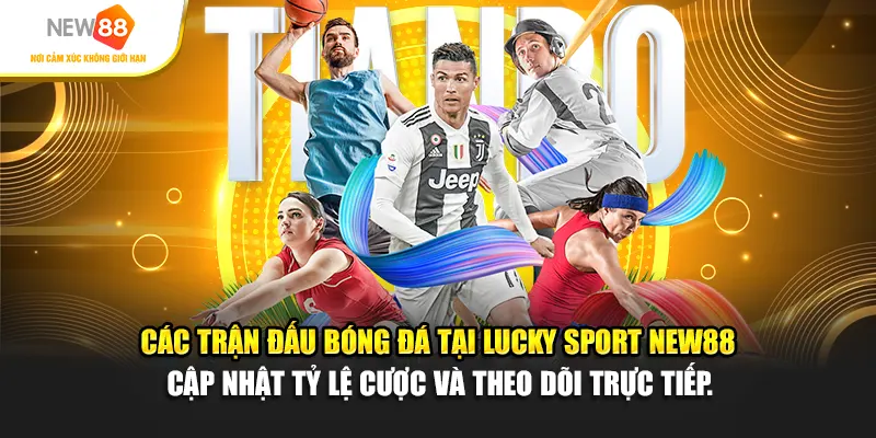 Các trận đấu bóng đá tại Lucky Sport New88 – Cập nhật tỷ lệ cược và theo dõi trực tiếp