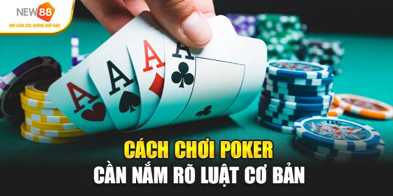 Cách chơi poker cần nắm rõ luật cơ bản