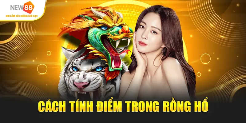 Cách tính điểm trong Rồng Hổ New88