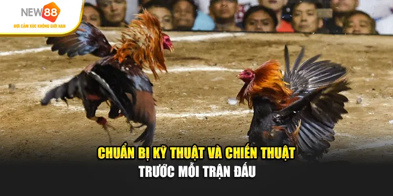 Chuẩn bị kỹ thuật và chiến thuật trước mỗi trận đấu