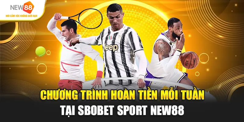 Chương trình hoàn tiền mỗi tuần tại SBOBET Sport New88