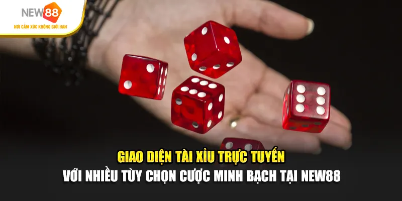 Giao diện tài xỉu trực tuyến với nhiều tùy chọn cược minh bạch tại New88