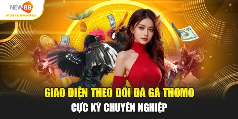 Giao diện theo dõi đá gà Thomo cực kỳ chuyên nghiệp