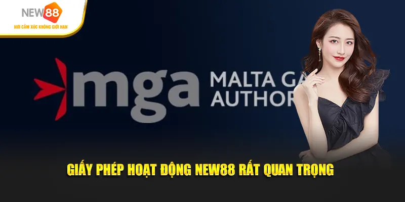 Giấy phép hoạt động New88 rất quan trọng