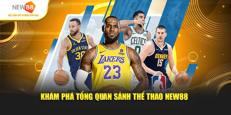 Khám phá tổng quan sảnh thể thao New88