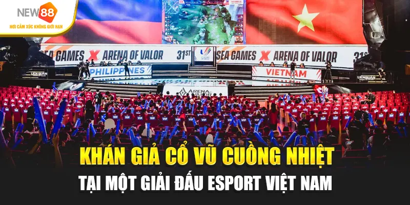 Khán giả cổ vũ cuồng nhiệt tại một giải đấu Esport Việt Nam