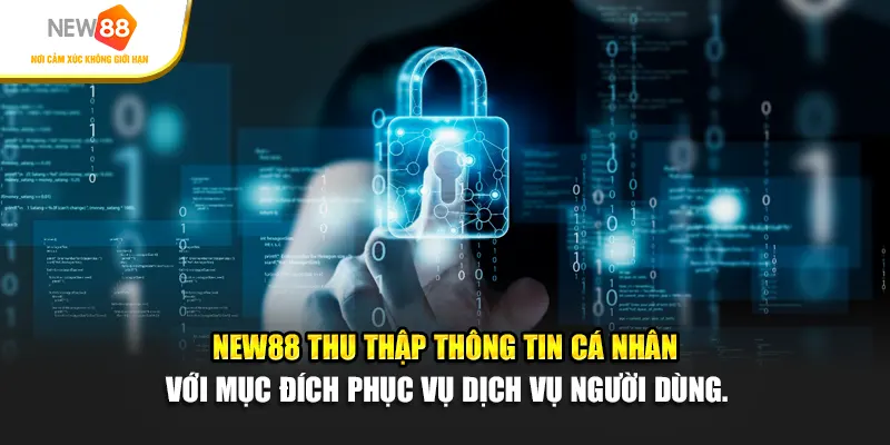 New88 thu thập thông tin cá nhân với mục đích phục vụ dịch vụ người dùng