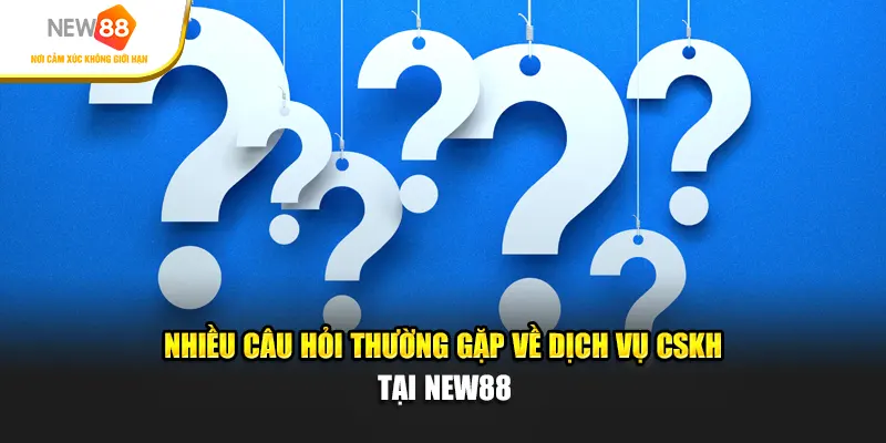 Nhiều câu hỏi thường gặp về dịch vụ CSKH tại New88