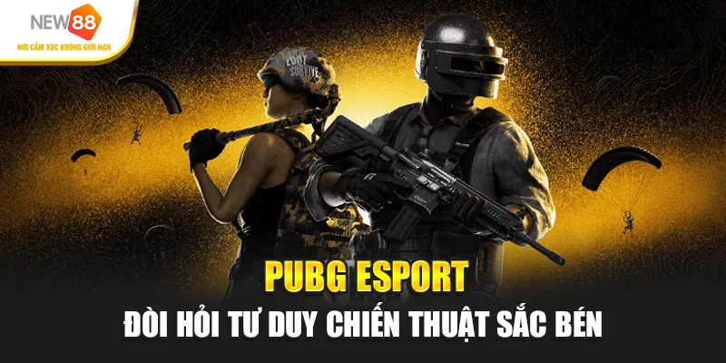 PUBG Esport đòi hỏi tư duy chiến thuật sắc bén