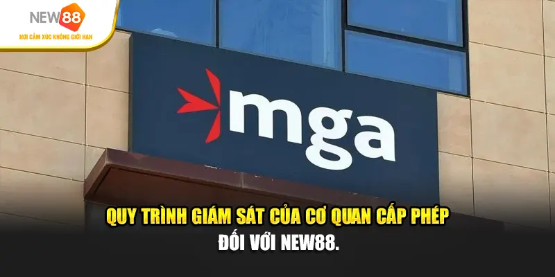 Quy trình giám sát của cơ quan cấp phép đối với New88