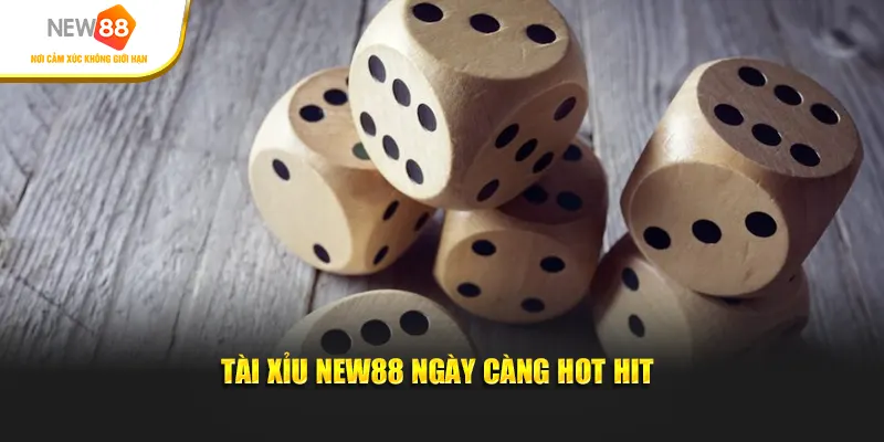 Tài xỉu New88 ngày càng hot hit