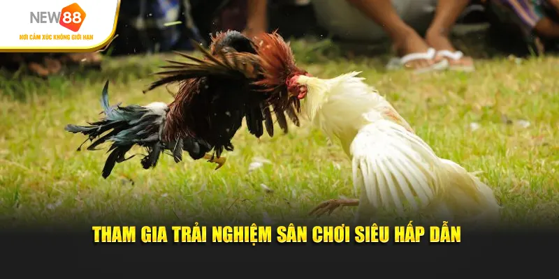 Tham gia trải nghiệm sân chơi siêu hấp dẫn