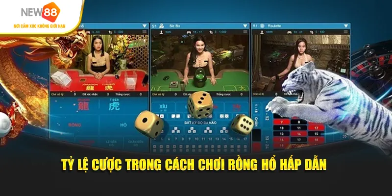 Tỷ lệ cược trong cách chơi Rồng Hổ hấp dẫn
